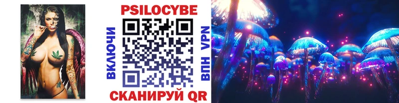 Псилоцибиновые грибы Psilocybine cubensis  даркнет состав  Куртамыш 